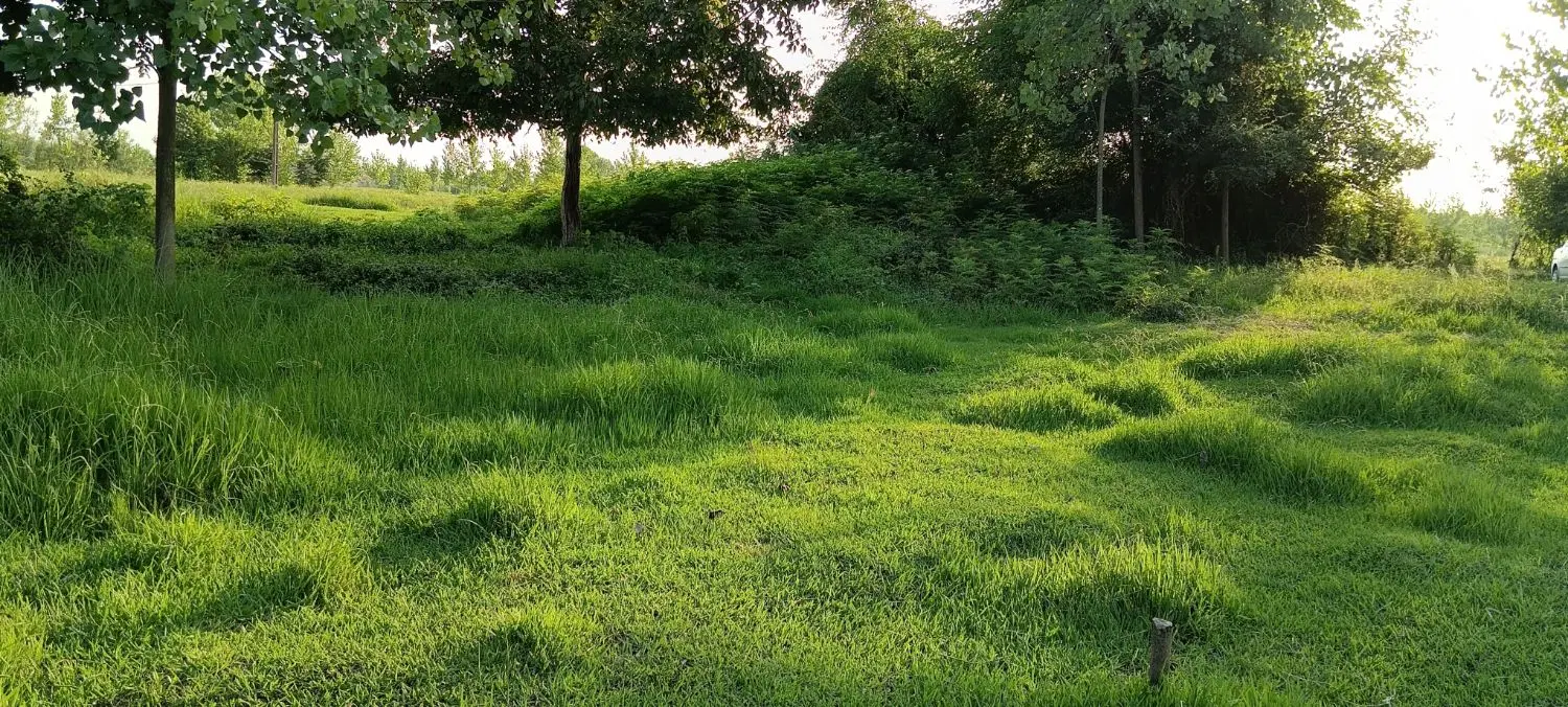 زمین با مجوز ساخت مسکونی