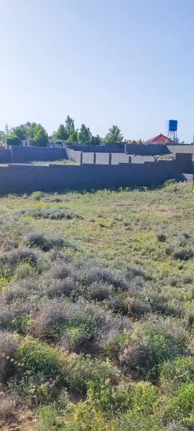 زمین باغی کلنگی
