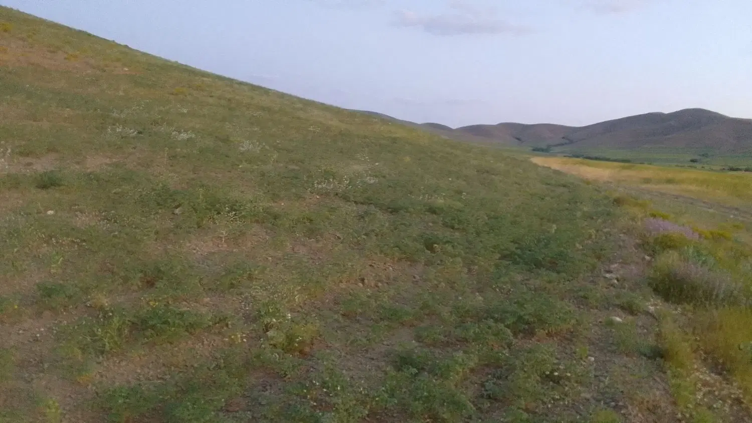 زمین کشاورزی