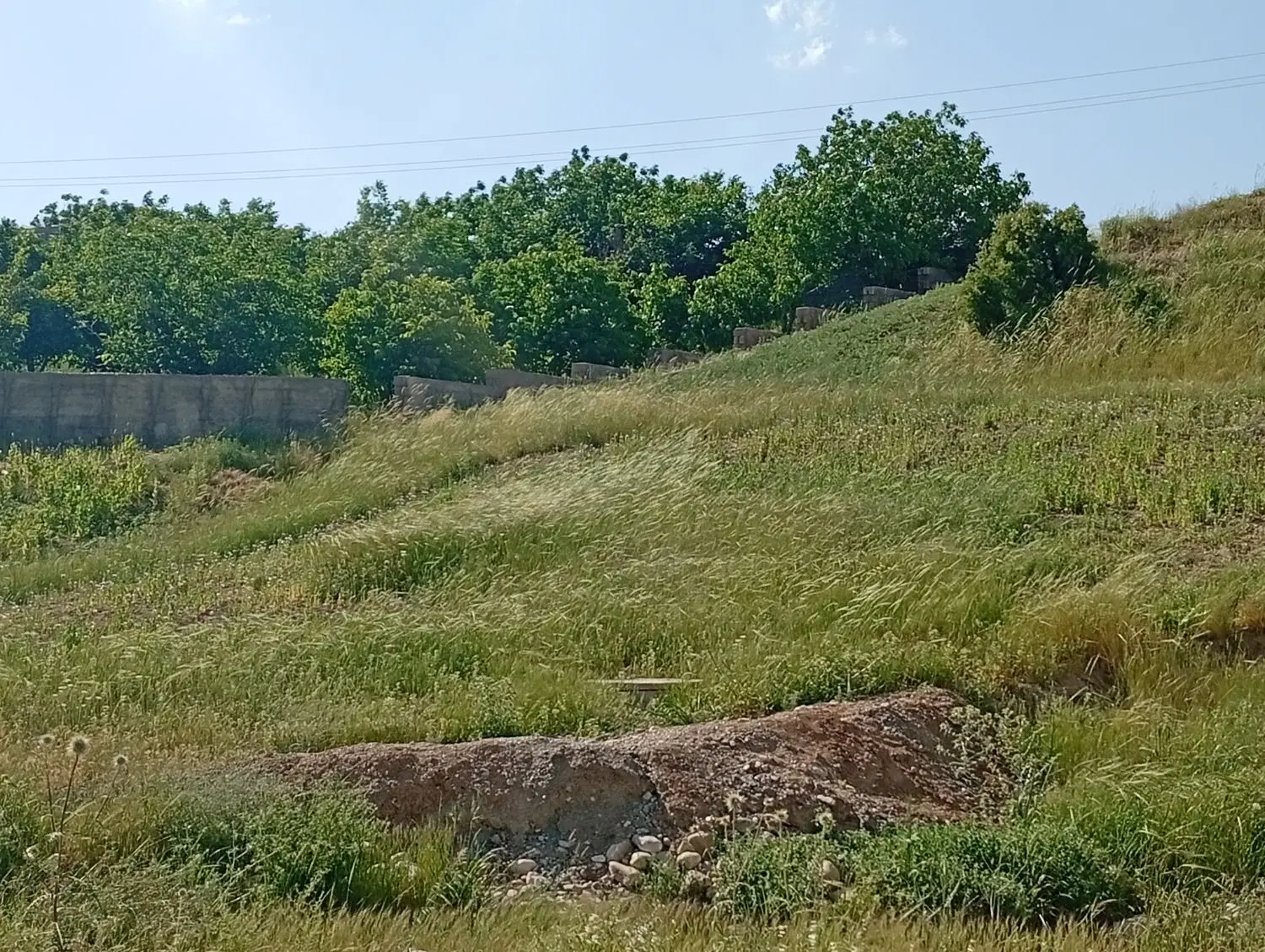 باغ و زمین کشاورزی
