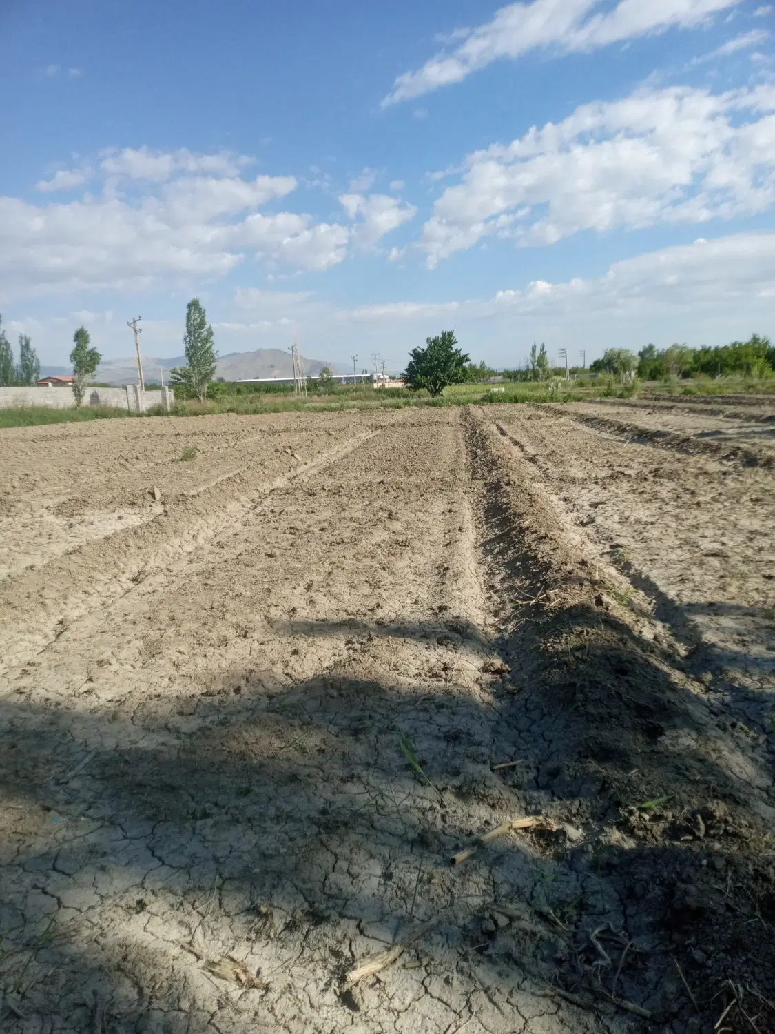 زمین 2طنف برای کشاورزی آماده کشت