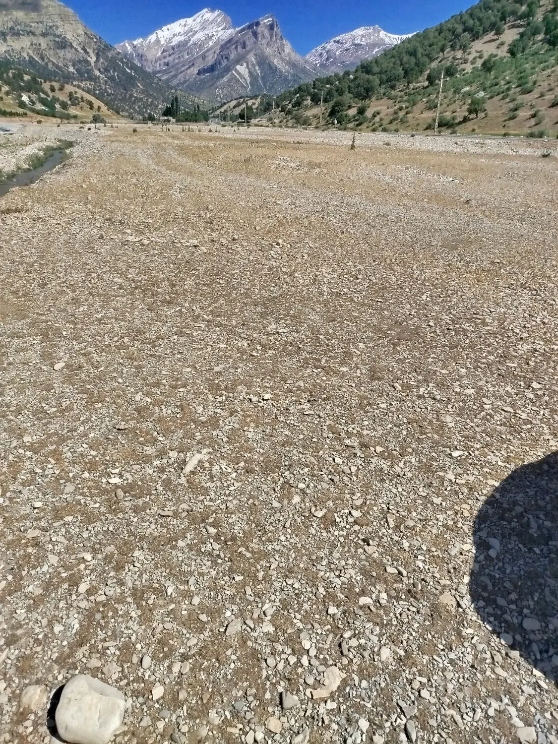 زمین یک هکتار هست ززماهر شول آباد نصرآباد اجار دا