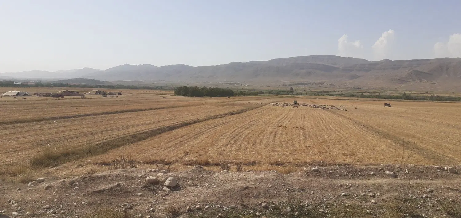 زمین فروشی
