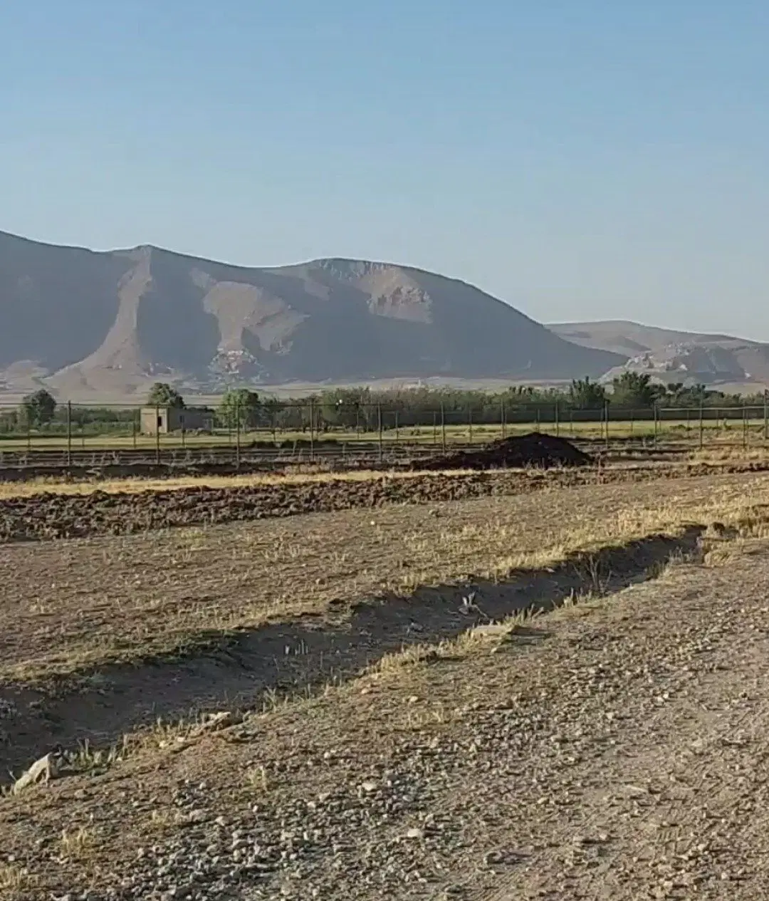 زمین باغی و کشاورزی شازند