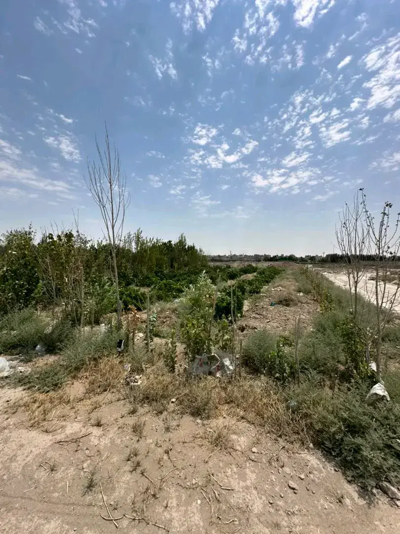 زمین