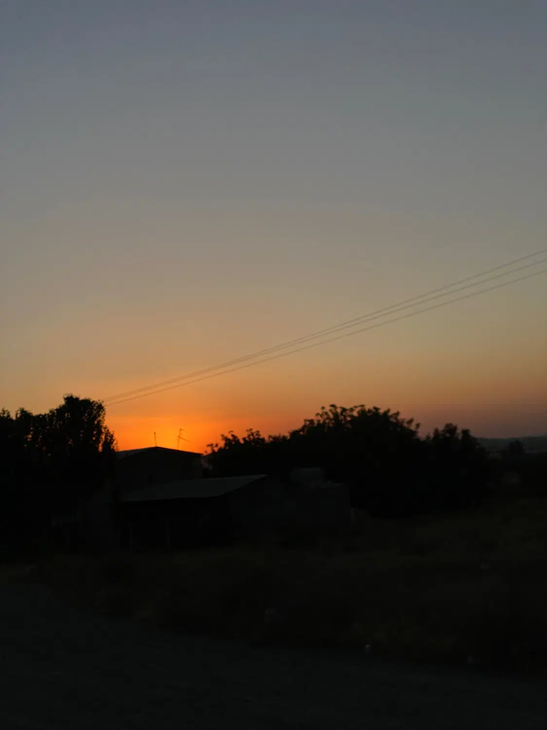 یک قطعه زمین باغی