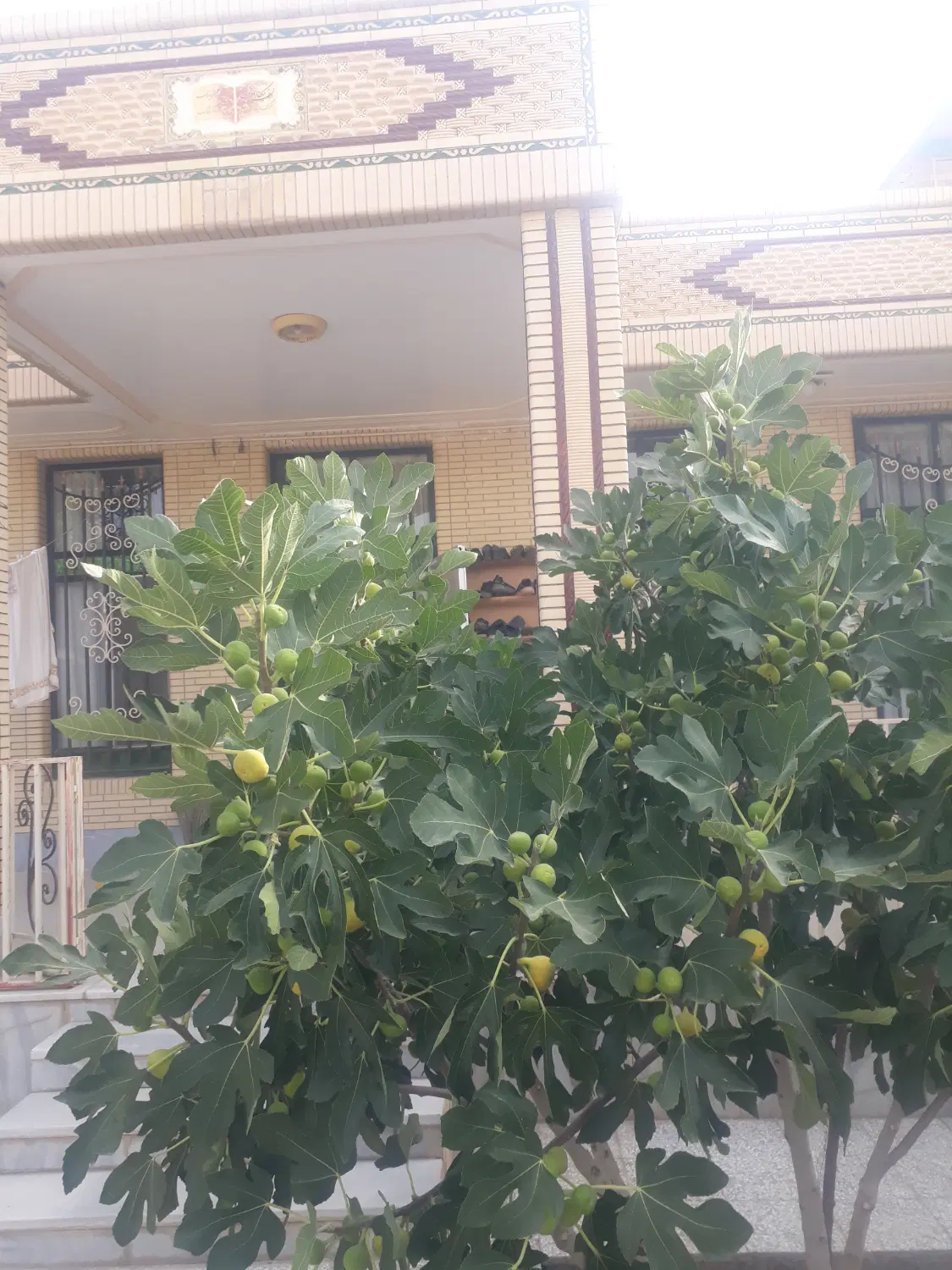 فروش خانه۶۲متری ویلایی