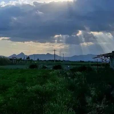 باغ
