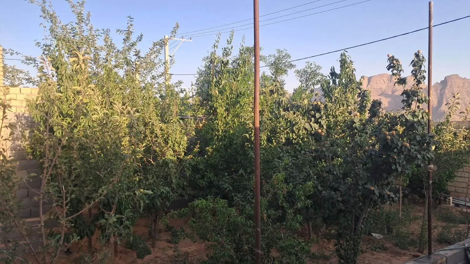 خانه باغ ۳۵۰ متری تنگ چنار