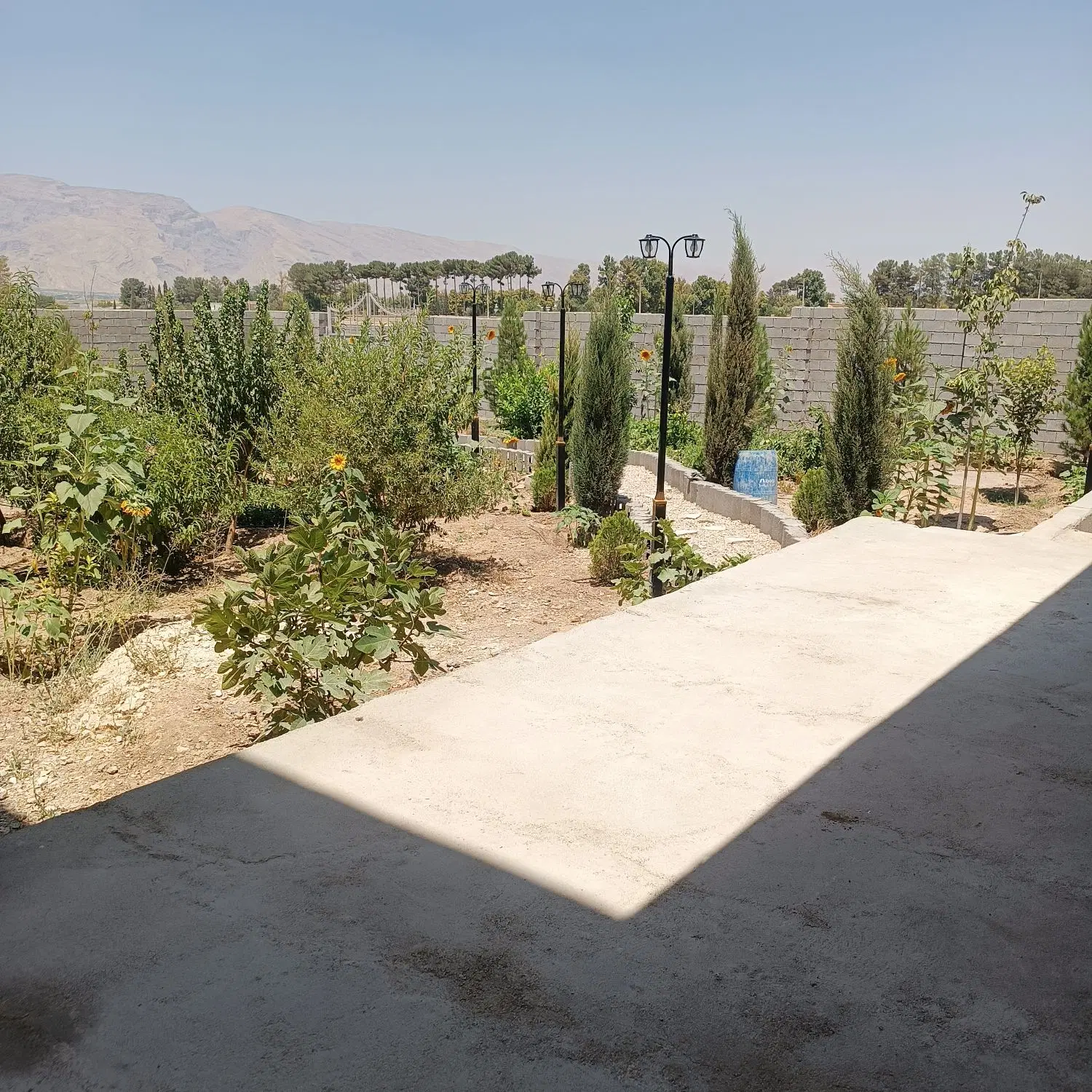 باغ شهری تیون (تفیهان)