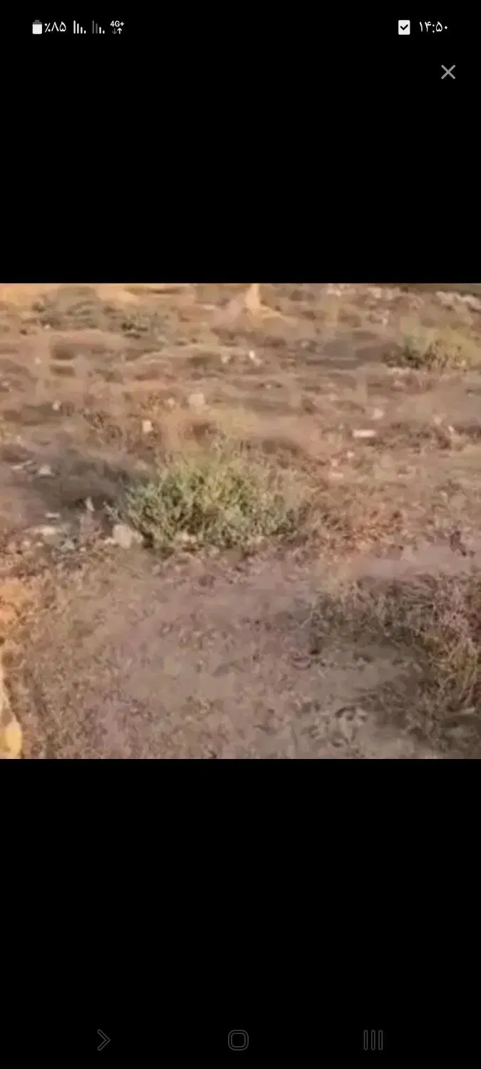 زمین در الغدیر