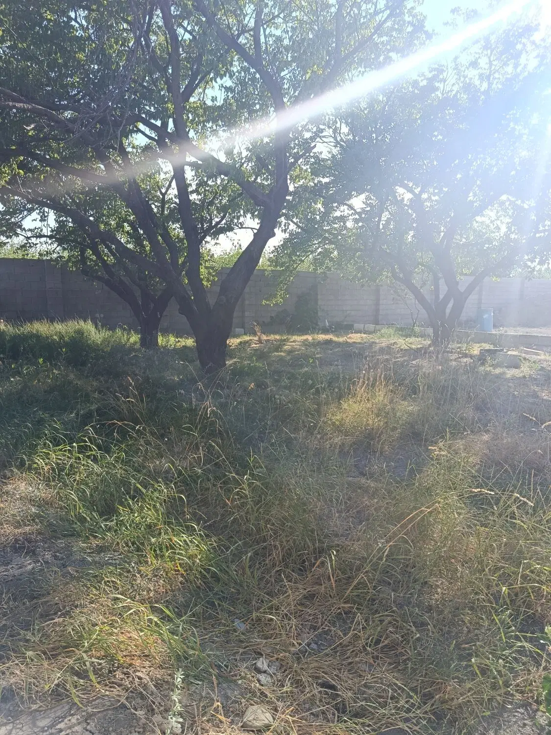 امامزاده