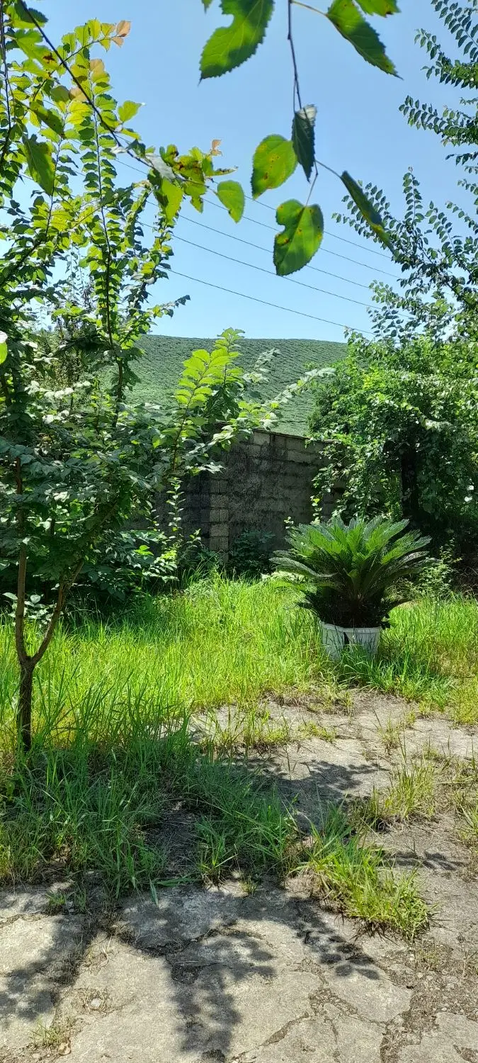 سند تک برگ 390 متر مسکونی