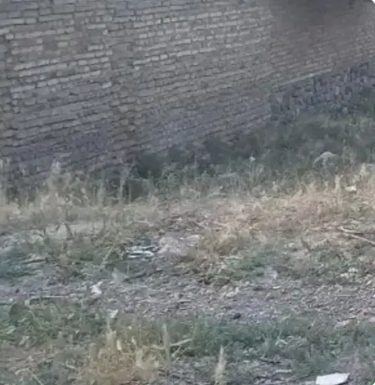 زمین رازبین