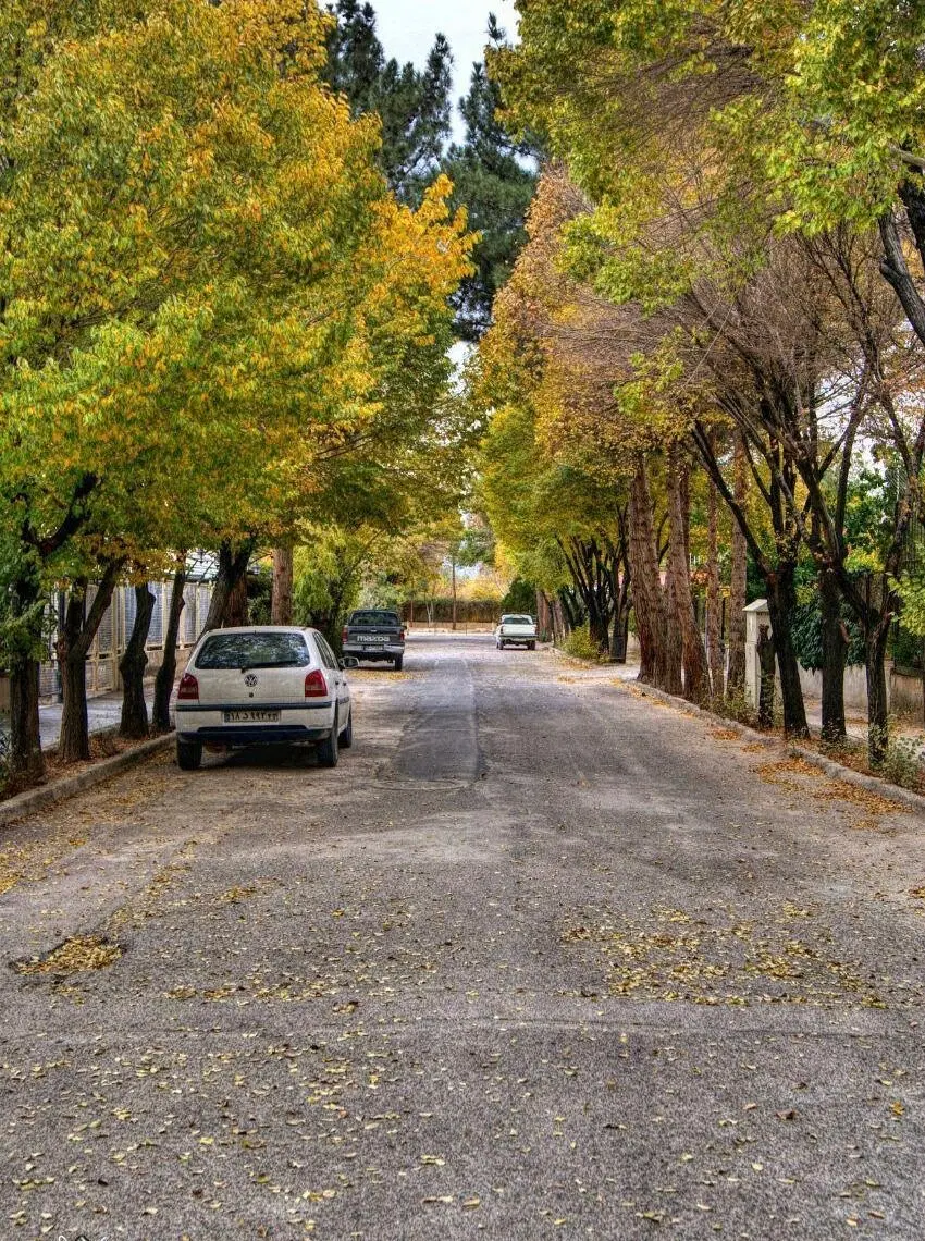خانه های چوبی رهن و اجاره
