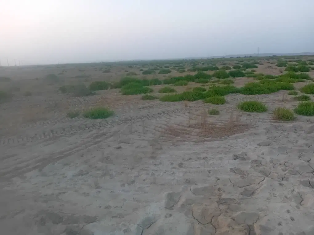 ده هکتار زمین آبی برای اجاره