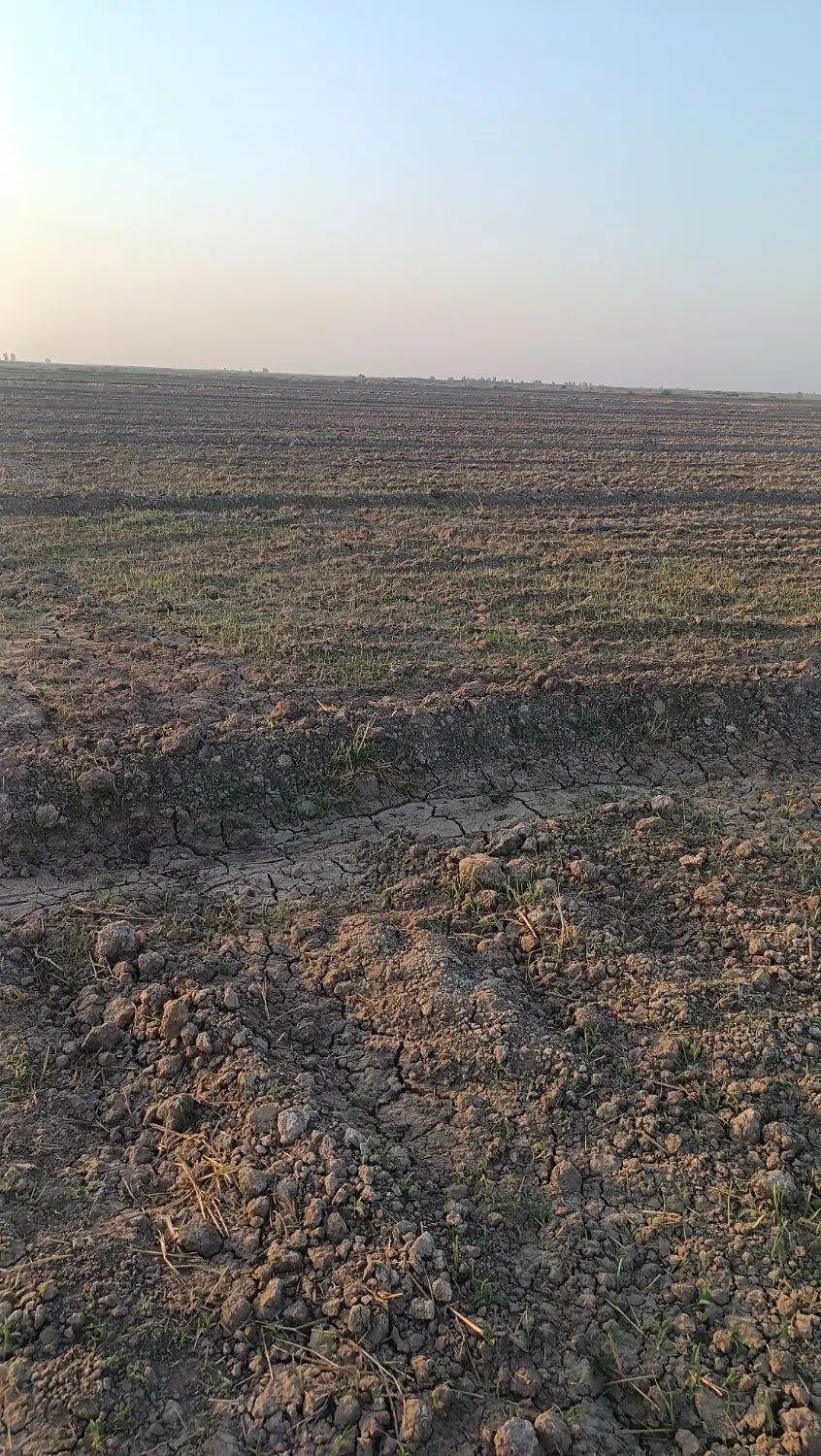 زمین کشاورزی