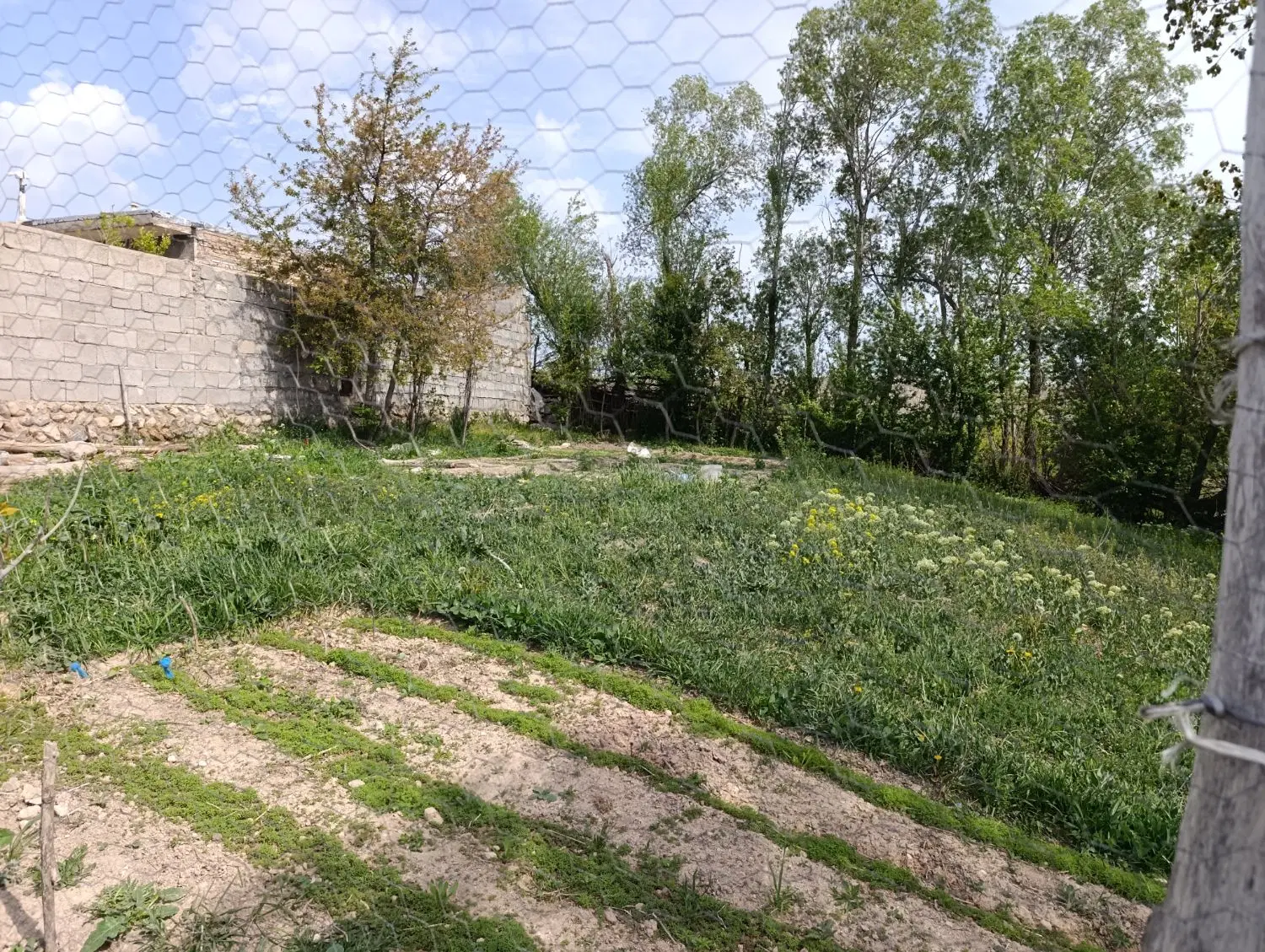 زمین مسکونی