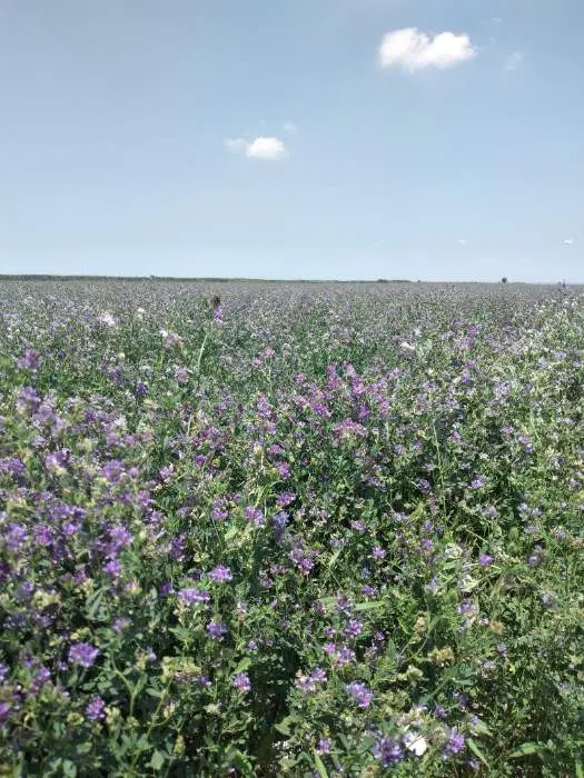 زمین کشاورزی آبی و ۷ هزار متر