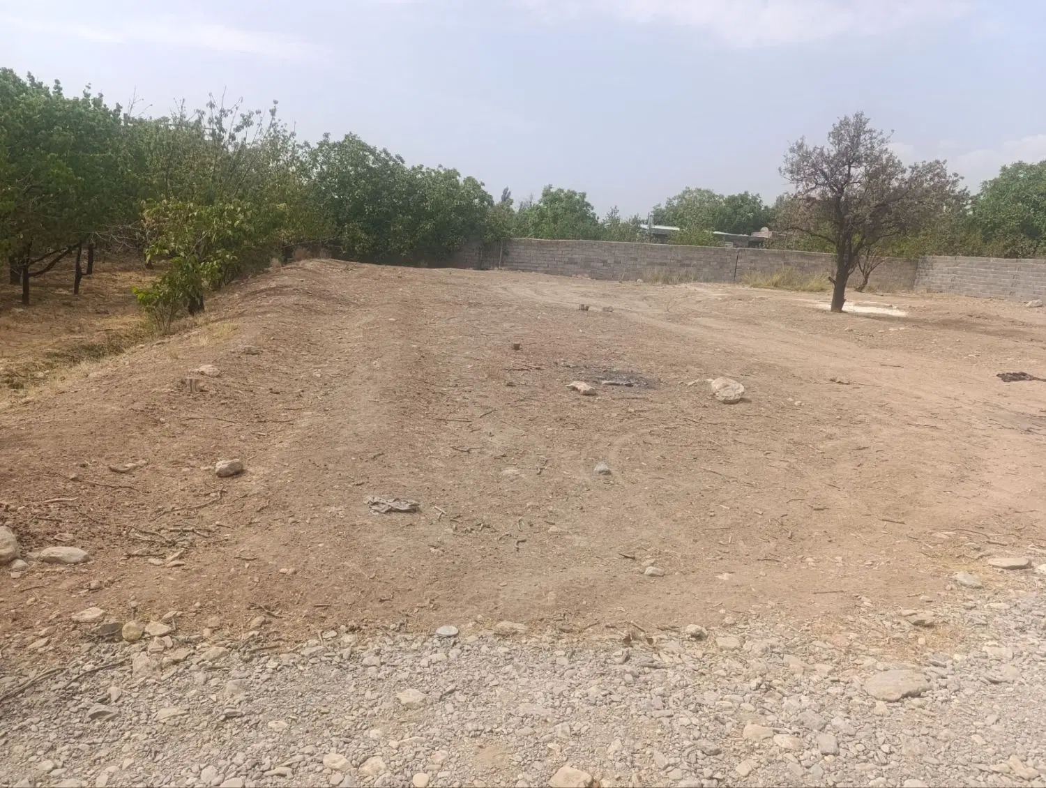 زمین روستای سکنج خیابان توکلی
