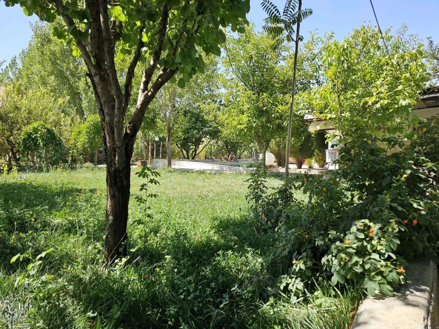 ویلا باغ