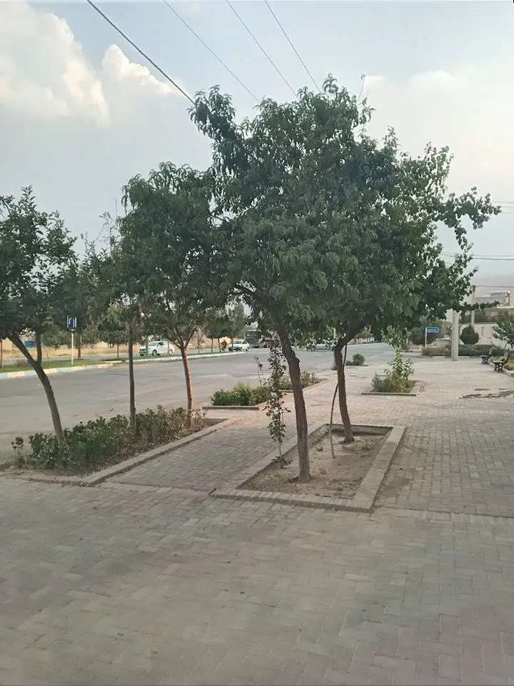 رهن واجاره در مریانج