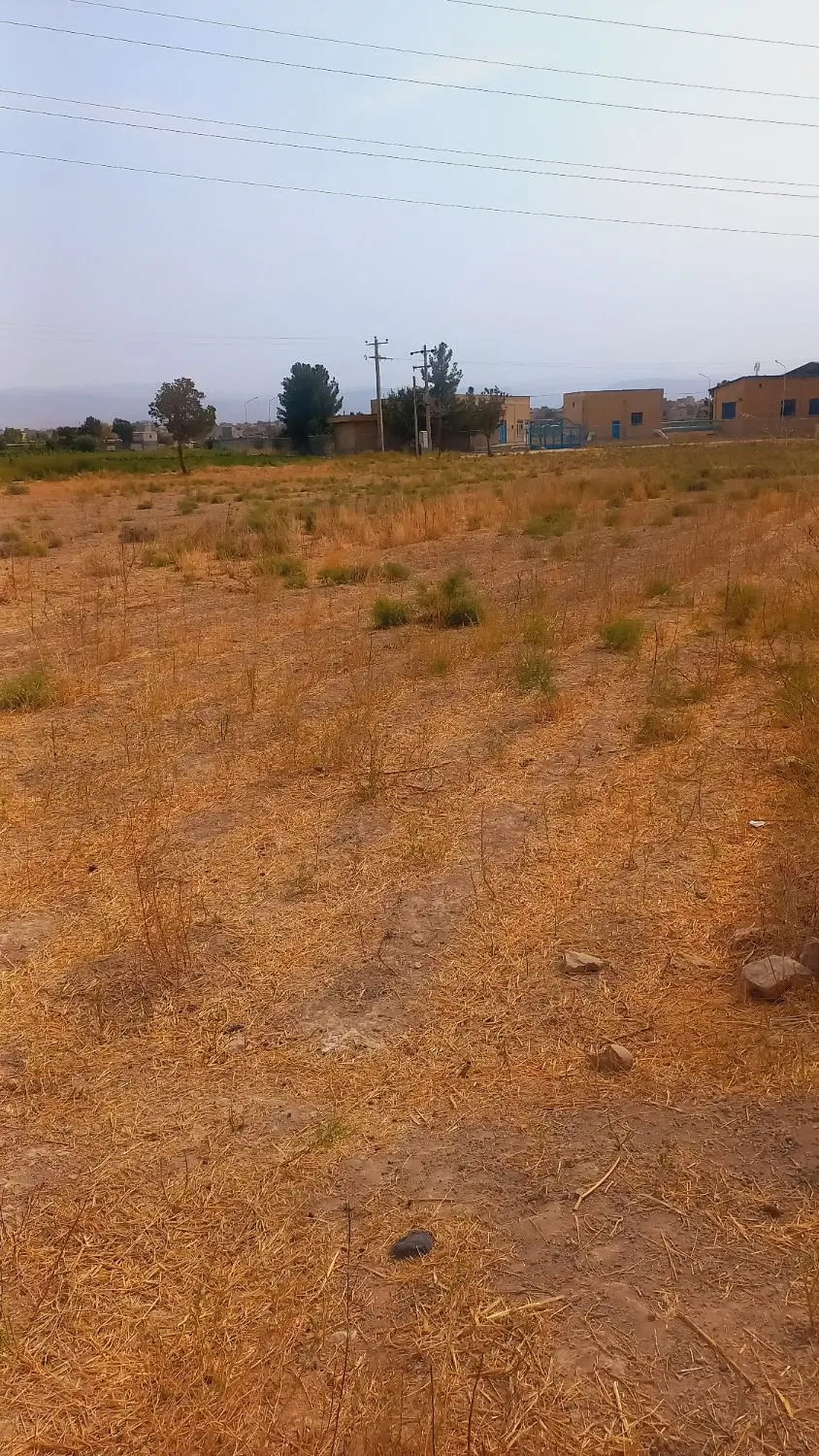 زمین کشاورزی