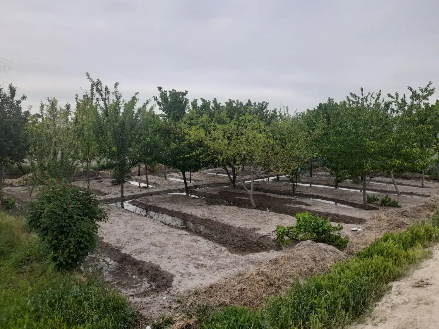 زمین باغی و کشاورزی کنارقطارشهری