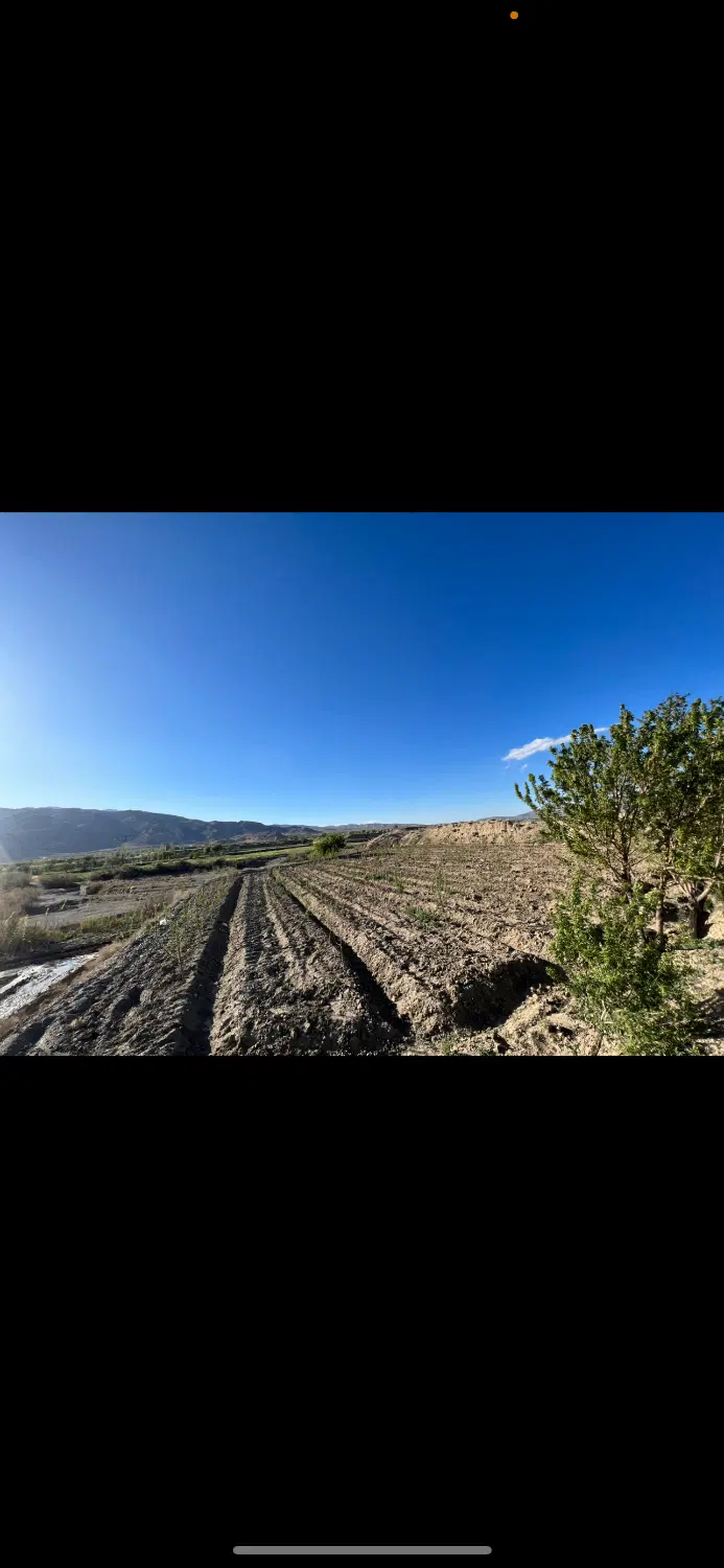 زمین کشاورزی