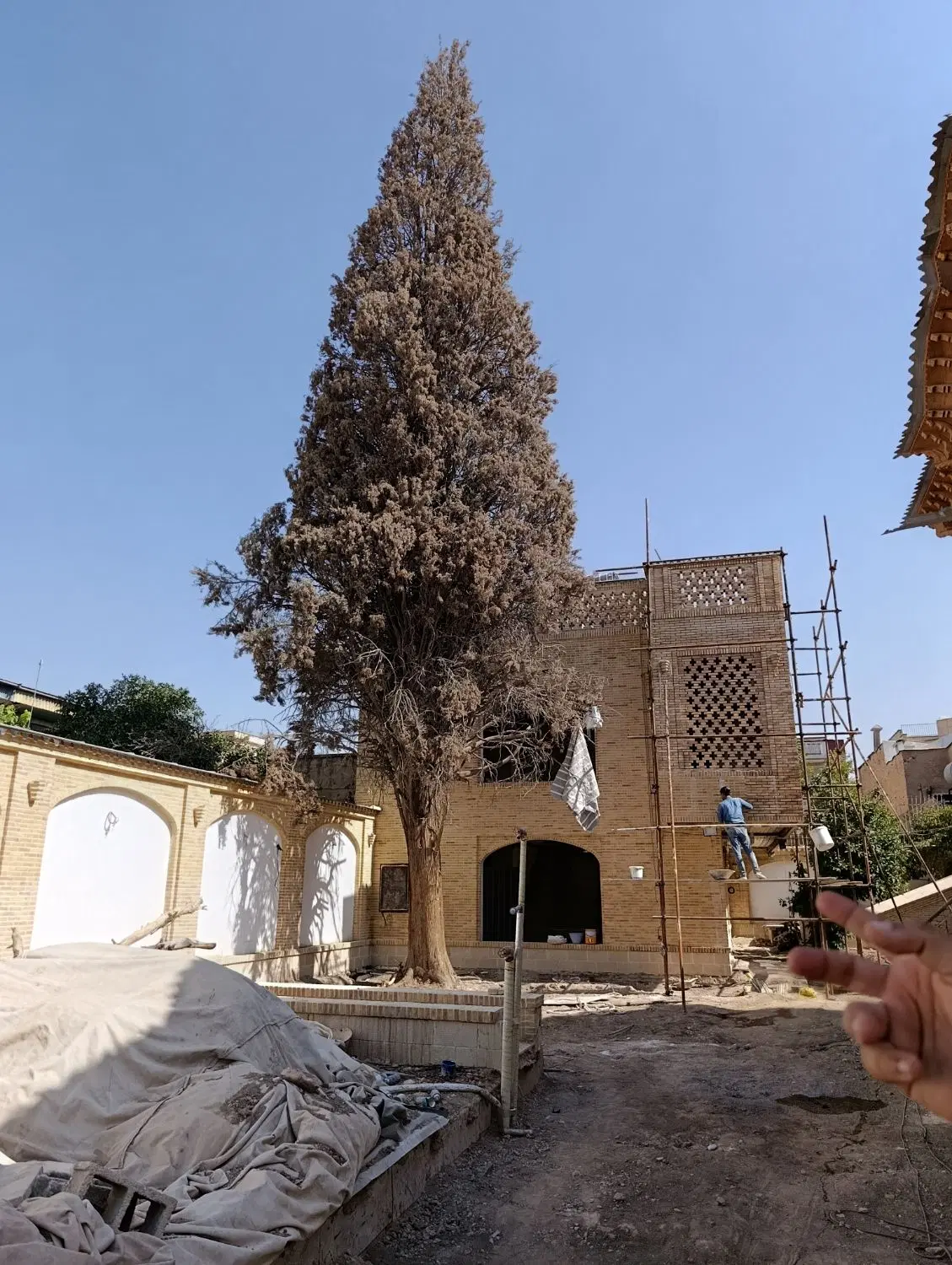 ملک کلنگی سر نبش خیابان منوچهری