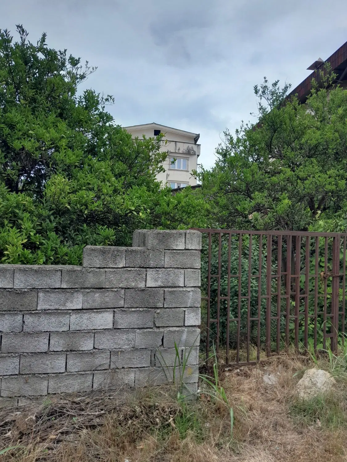 زمین مسکونی