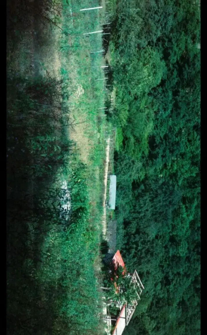 زمین ییلاقی