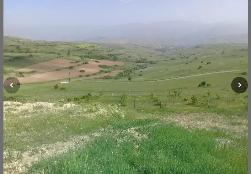 زمین باغی و کشاورزی