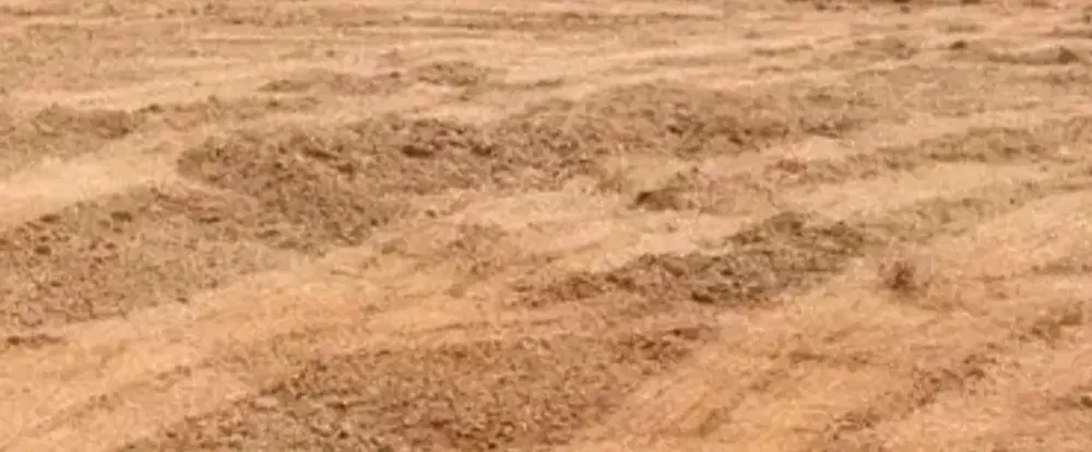 زمین کشاورزی