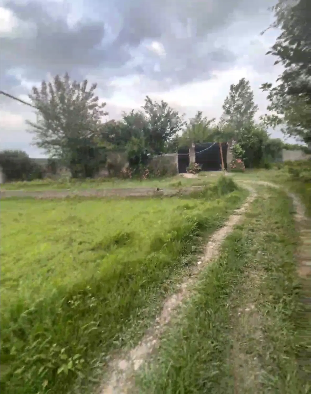 314مترزمین مسکونی(شهری)محیط روستایی