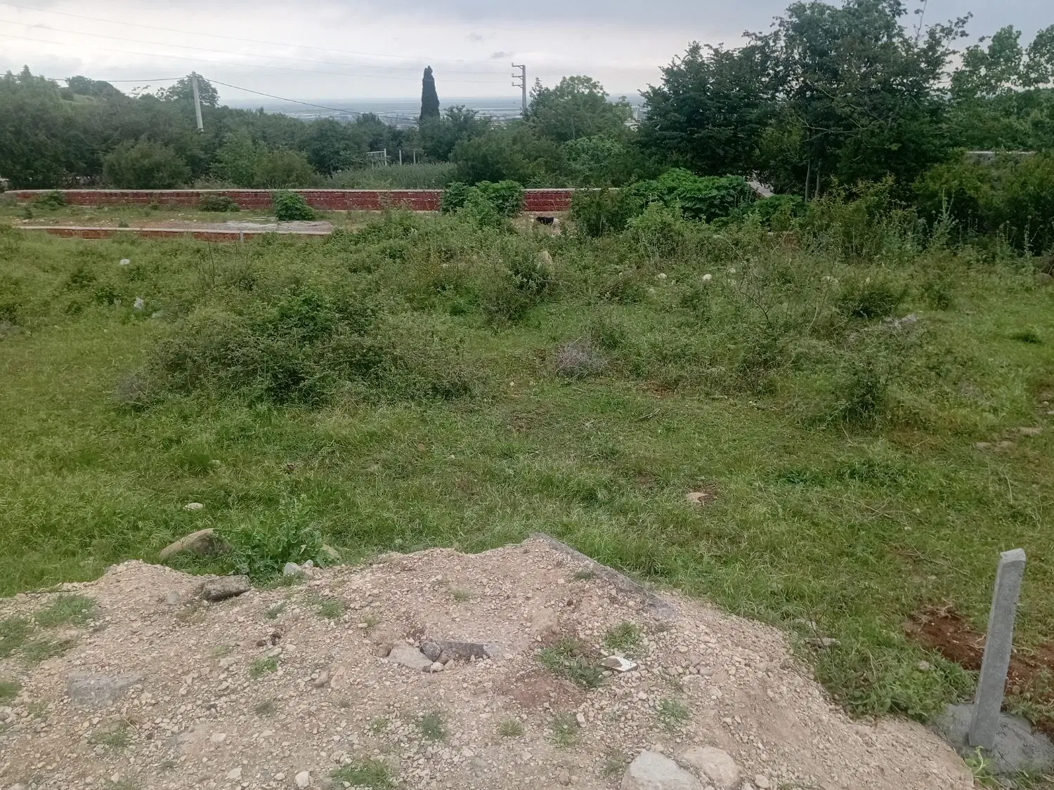 زمین مسکونی