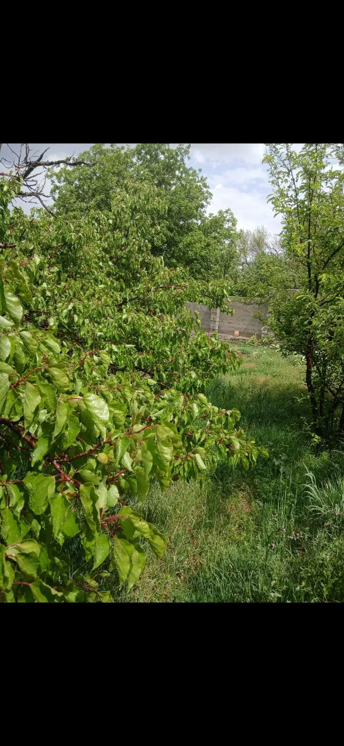 باغ بلوار ارم کوچه چشمه ساران