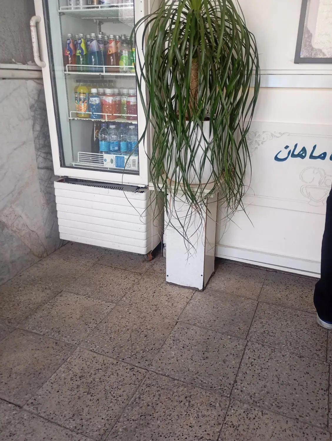 نیازمند هم خانه