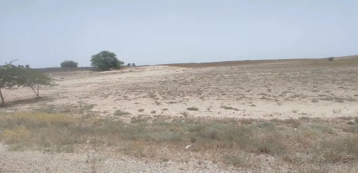 زمین پلاک بندی شده