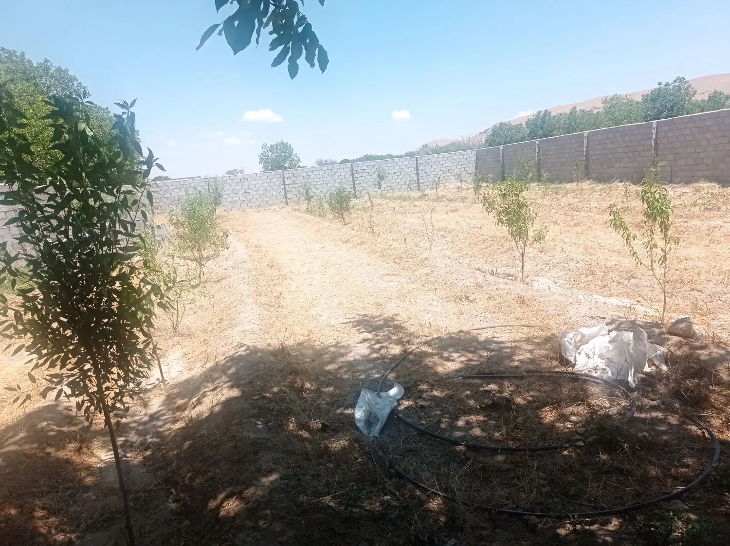 باغ ویلایی