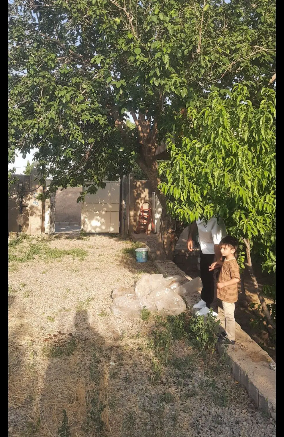 جنگل پردرخت کنتوردار۲۳۰ متر۵۰ متربنا