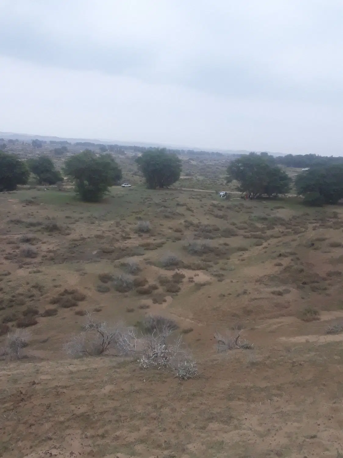 زمین مسکونی