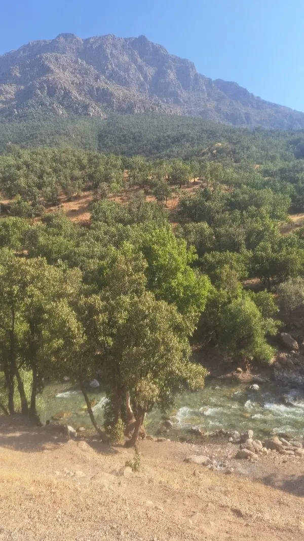 زمین مسکونی گاوخانه سردار سلیمانی
