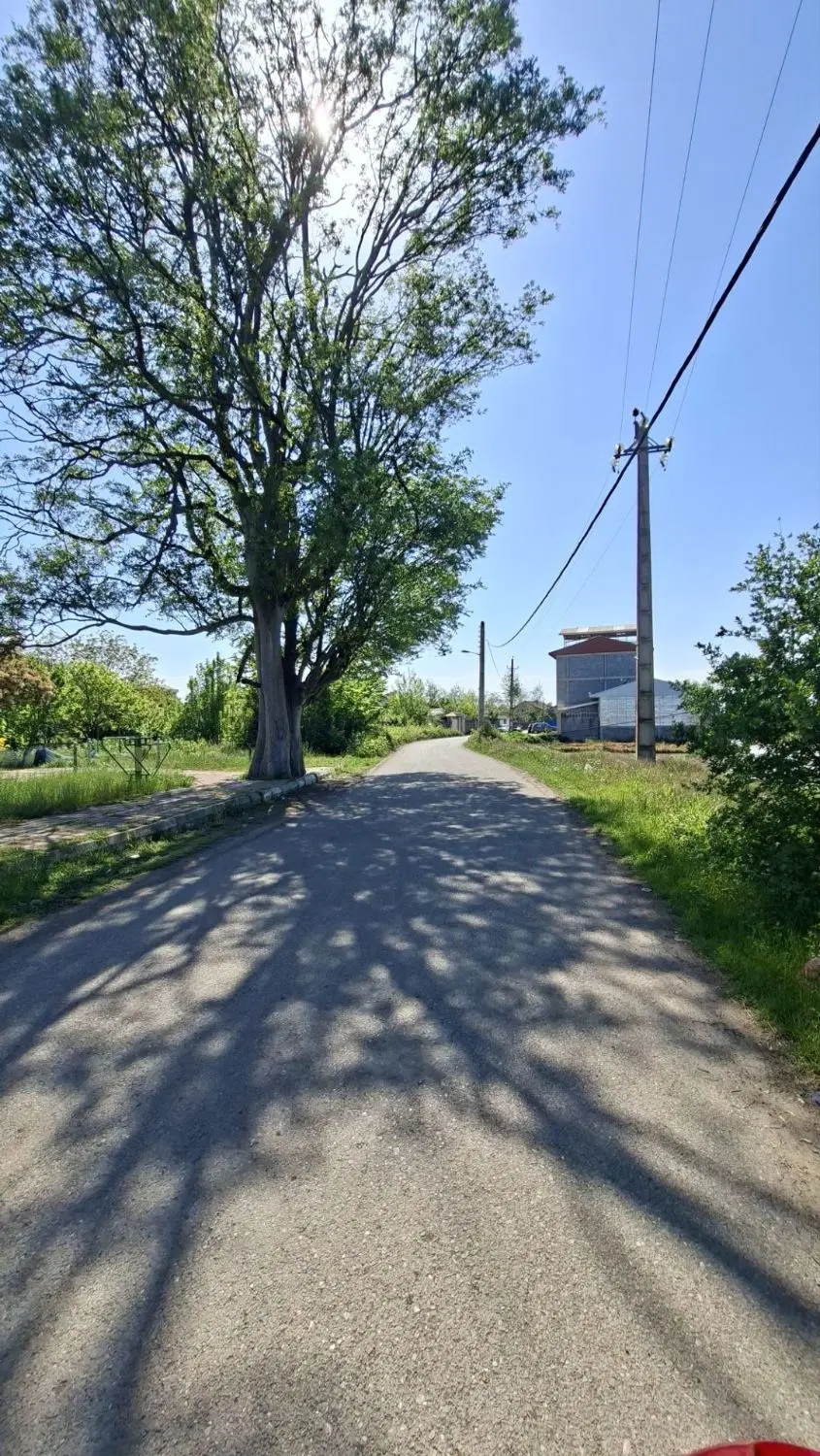 زمین ویلایی کورکا