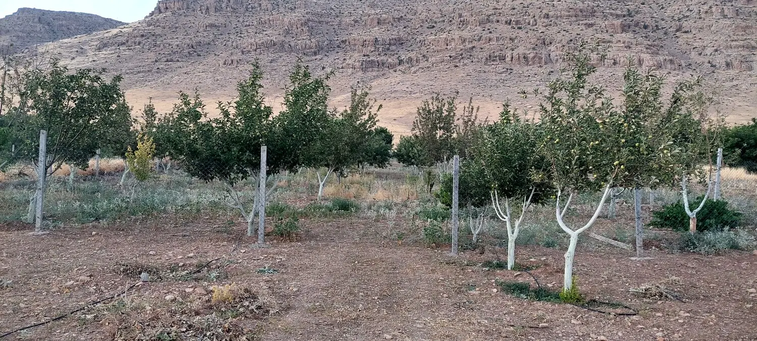 باغ سند دار ساختمان دار  روستای ریکا جاده روانسر
