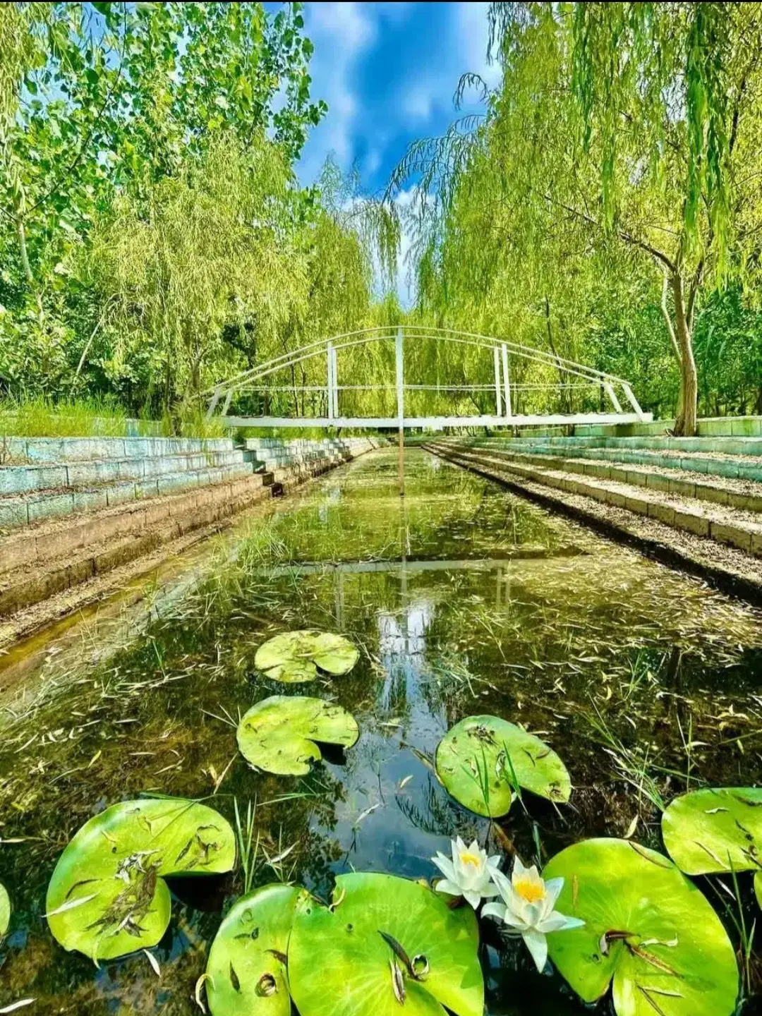 تجربه زندگی در دل طبیعت