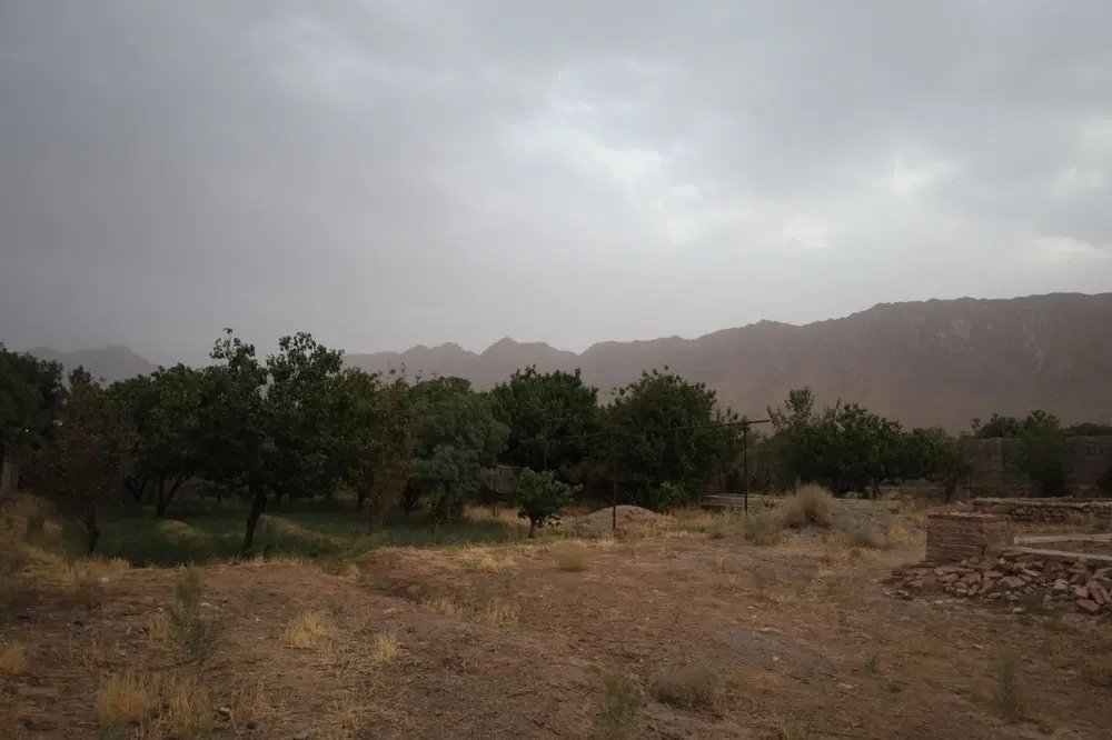 باغ کوهپایه