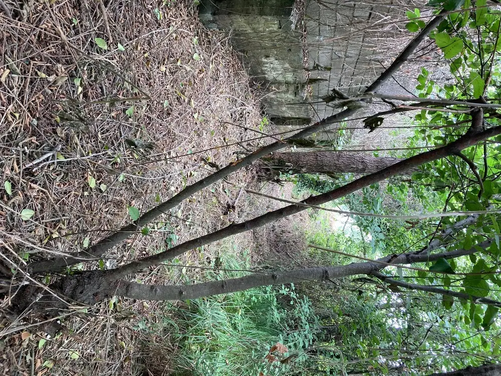 زمین مسکونی تجاری