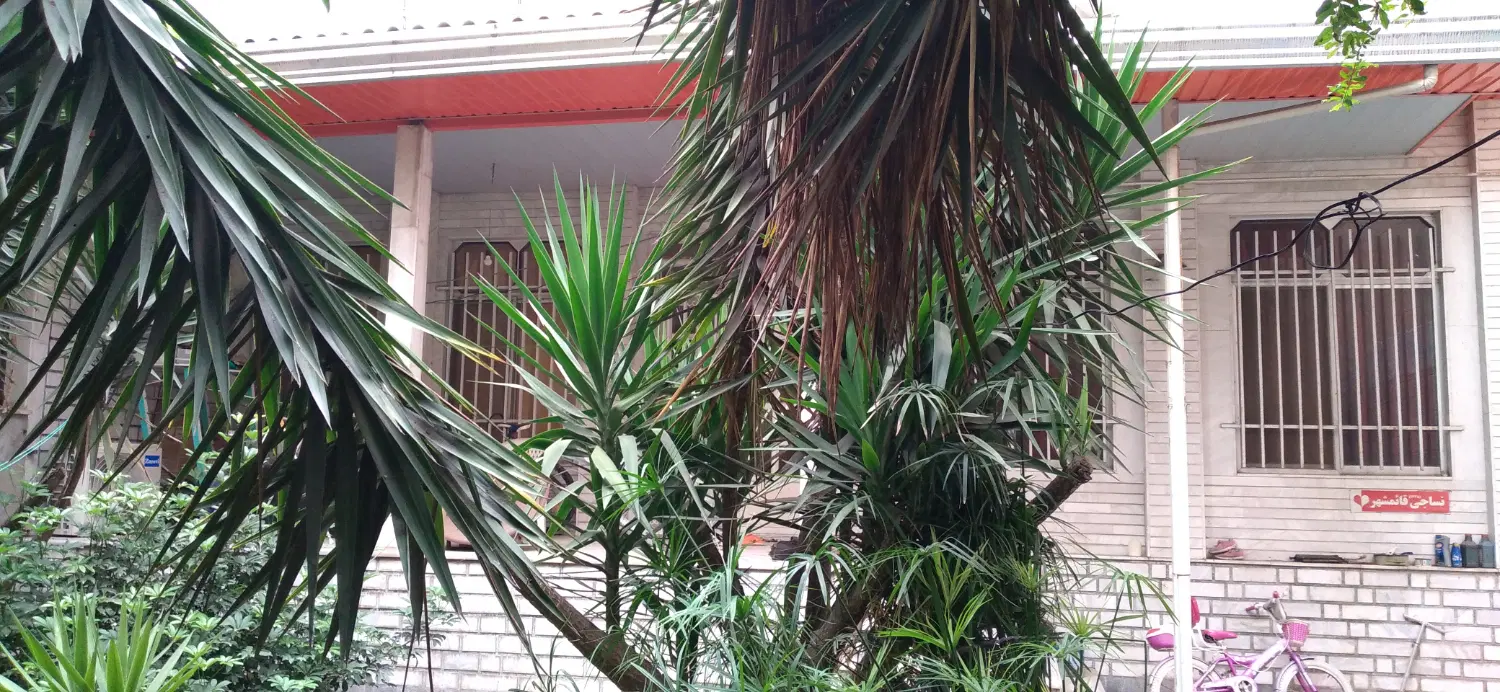 ۴۰۰ متر زمین و ۱۵۰ متر بنا در قائمشهر تالار ۴۱