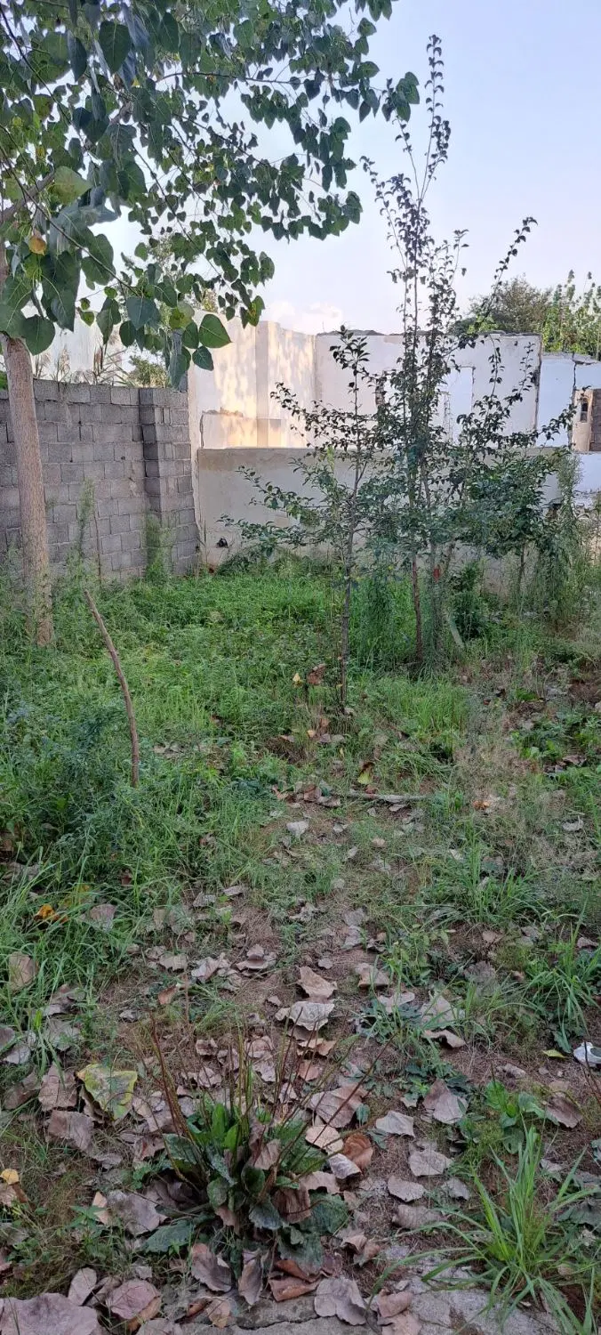 زمین ۳۰۰ متری در رشت  باقر العلوم